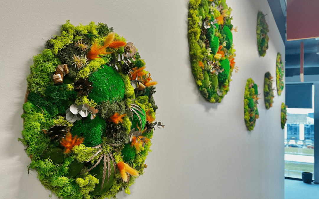 Kontoriseina kaunistus