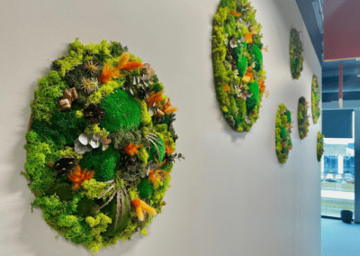 Meeli Eelmaa_kontoriseina kaunistus