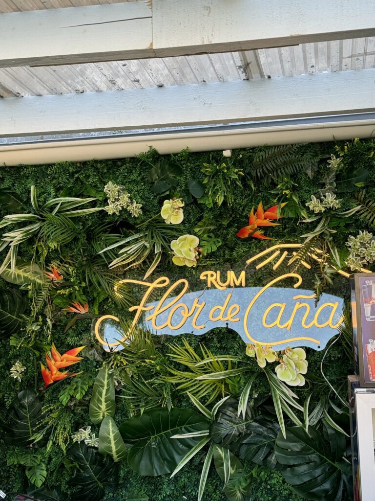 Rohesein Telliskivi baaris