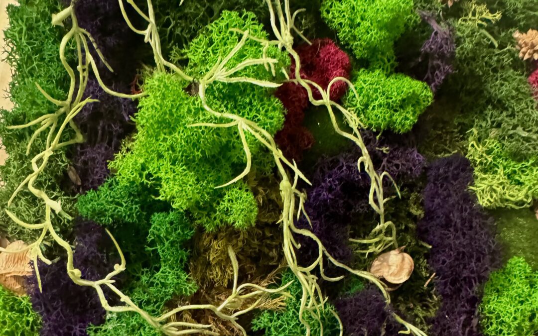 Samblapilt koduinterjööri