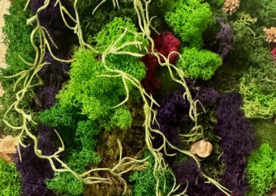 Samblapilt koduinterjööri