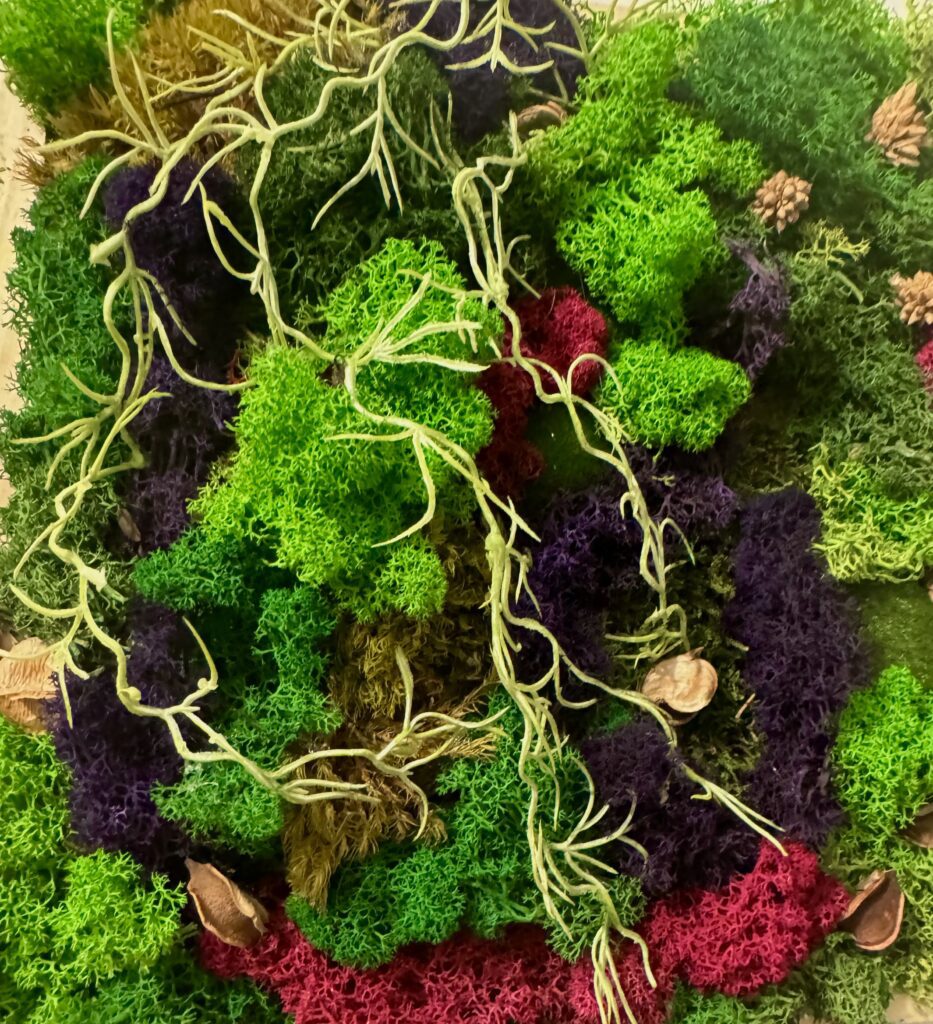 Meeli Eelmaa_Samblapilt koduinterjööri