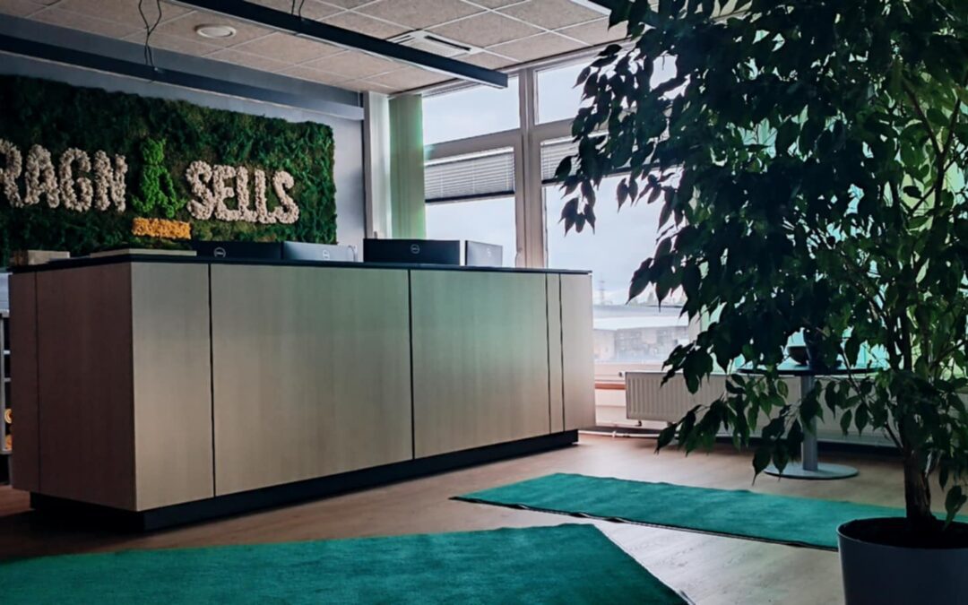 Kuidas anda toataimedele uus elu? Inspiratsiooni Ragn-Sells kontorist