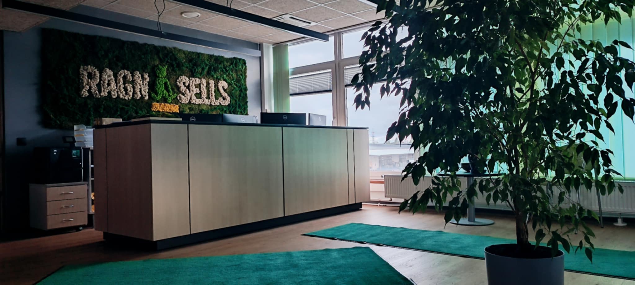 Kuidas anda toataimedele uus elu? Inspiratsiooni Ragn-Sells kontorist