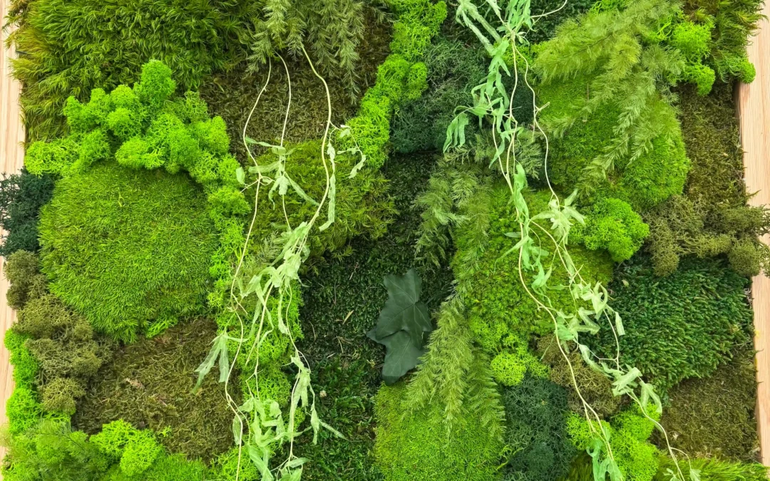 Tallinna Matusebüroo seinakaunistused – rohelisem ja rahulikum töökeskkond