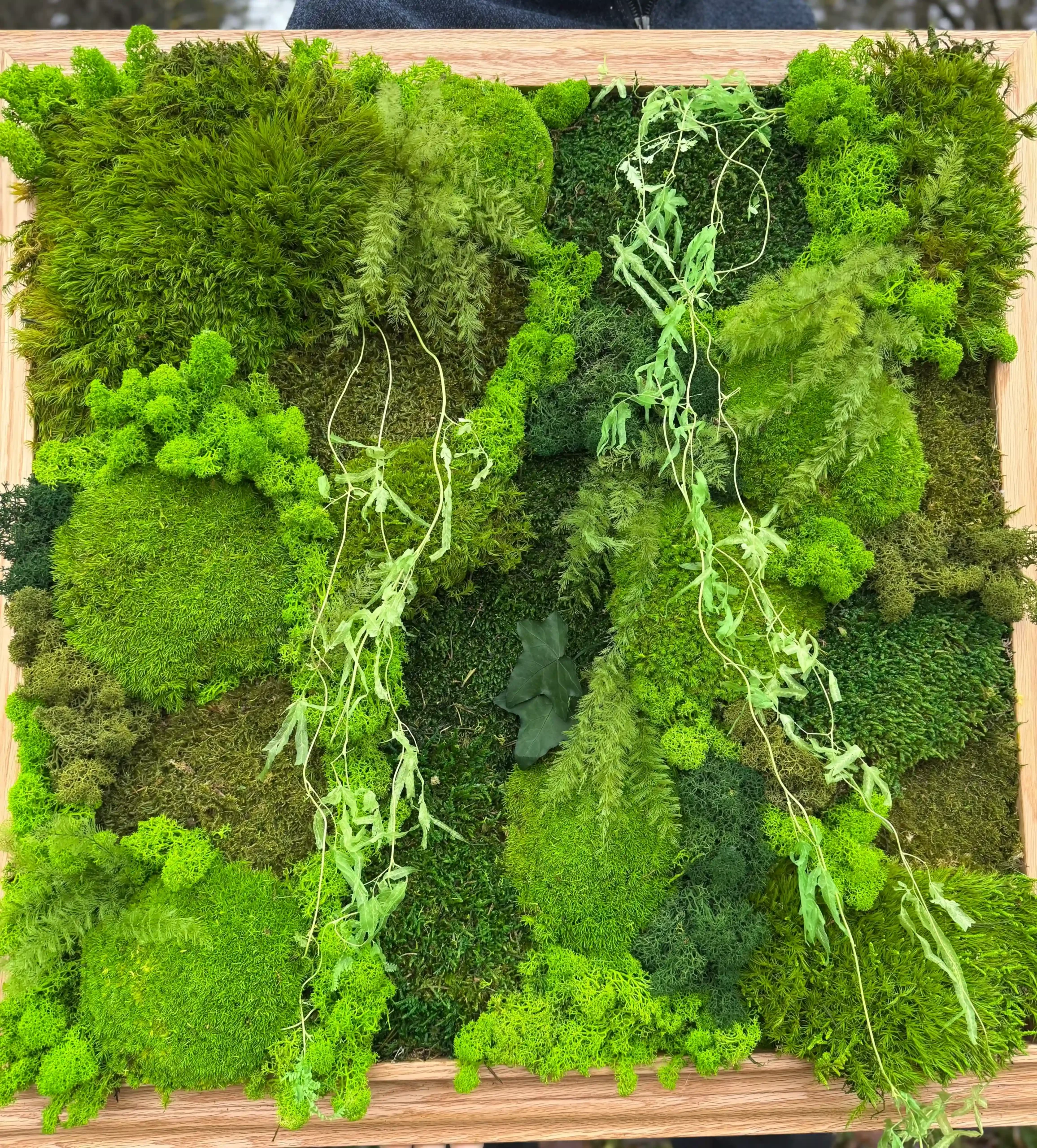 Tallinna Matusebüroo