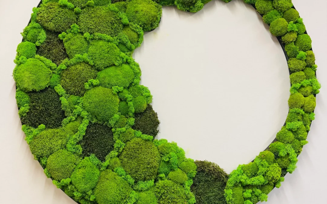 Stabiliseeritud sammal ja samblaseinad – hooldusvaba looduslik sisekujundus