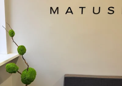 Tallinna Matusebüroo