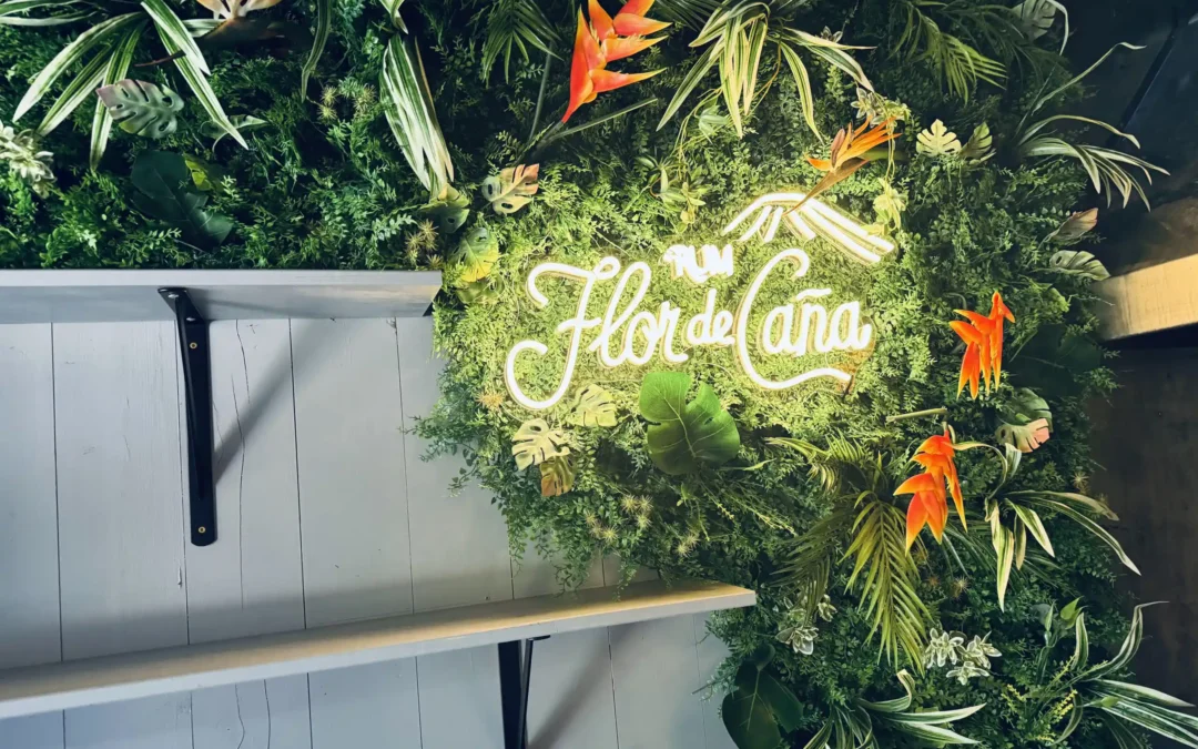 Rohesein Telliskivi baaris