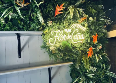 Lilleseaded- ja roheseinad